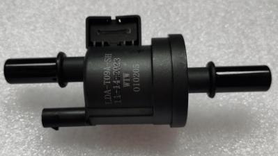 2019 Aion GA6 GM6 Car Carbon Canister Solenoid Valve 10130061530000-ZC
