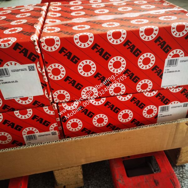 100% Original FAG Germany Cylindrical Roller  Bearings Z-558830.03.ZL  , Railway Bearing