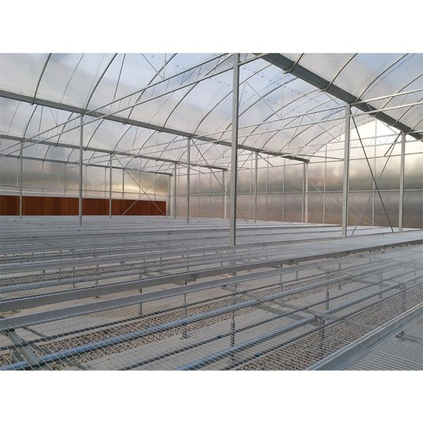 IGreen Saw Tooth Roof Vent Multi Span Plastic Greenhouse for Agriculture