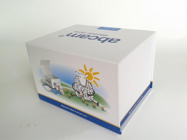 Fashion Coated Paper Board Box, Rectangle Printed Rigid Gift Boxes For With Custom Logo