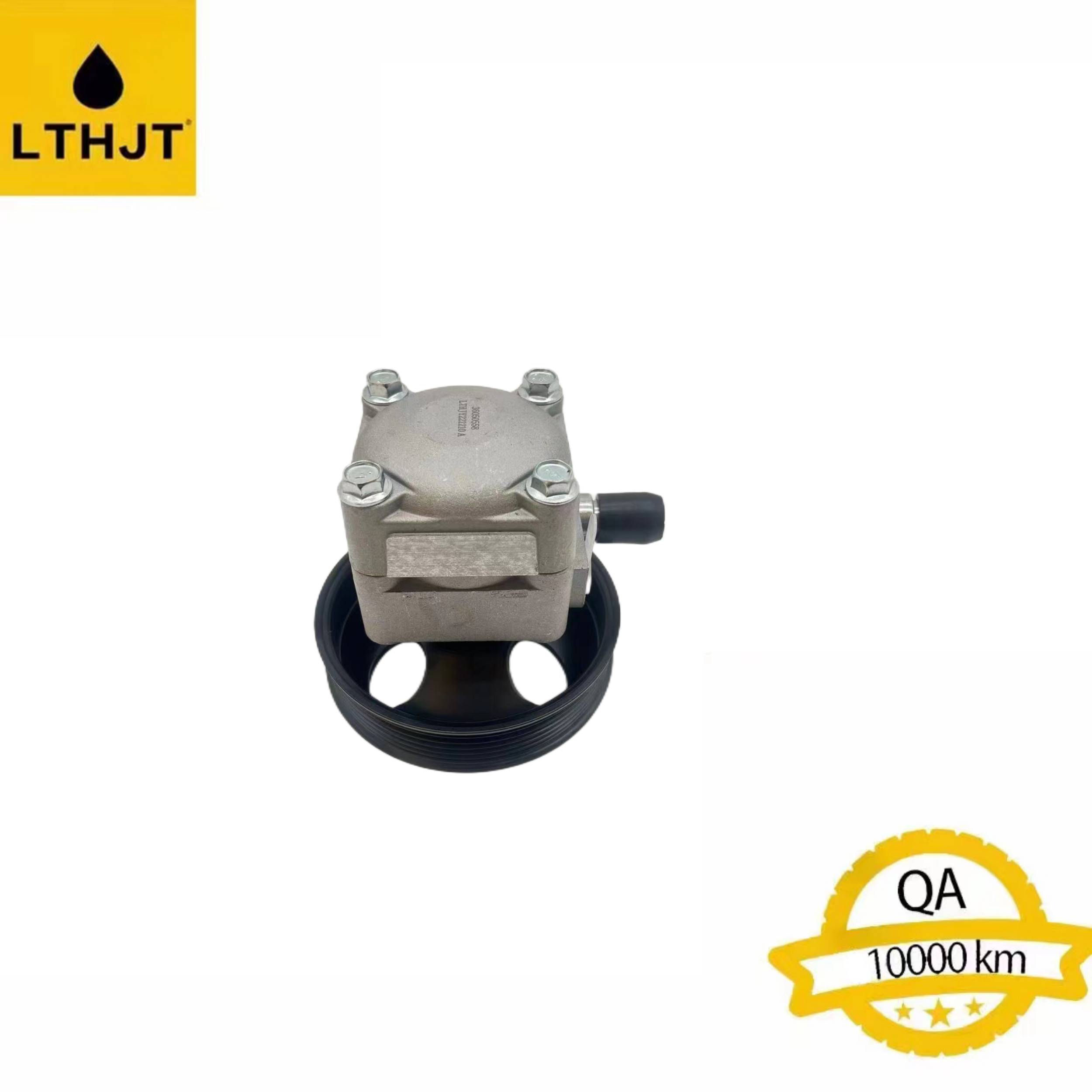 Power Steering Pump 36050558 Servo Resistant Pump