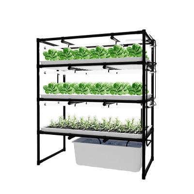 Hidropônicos feitos sob encomenda crescem explorações agrícolas verticais internas da cremalheira para o verde frondoso