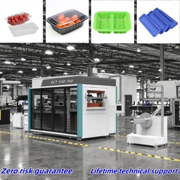 全自動ランチボックス製造機械 終身技術サポート 先進的なプラスチック熱形化機械