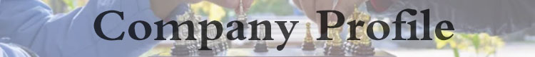 Customized Luxury Portable International Chess Set with Foldable Design and Zinc Alloy Pieces