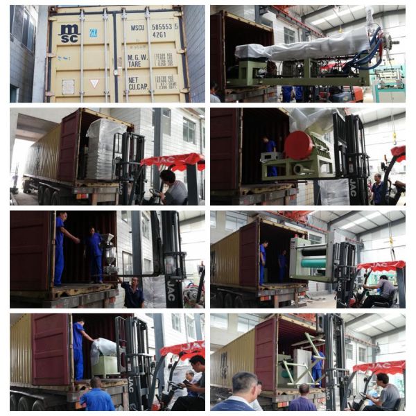 automatic disposable Biodegradable sugarcane paper pulp food box making machine