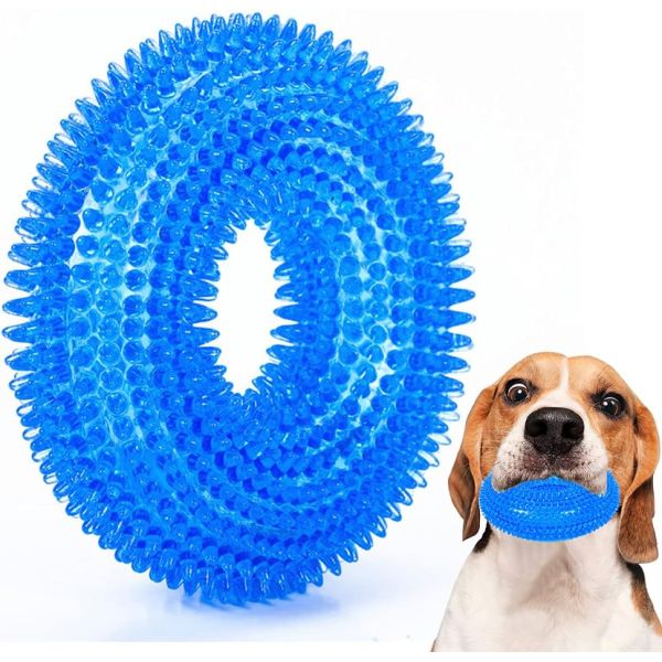Upgrade Your Dog's Playtime with Pet Dog Toy Toroidal Ball Bite Resistant and Fun
