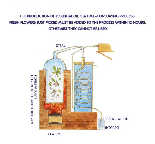 OEM puro natural incolor erval do óleo essencial do Patchouli dos óleos 10kg essenciais