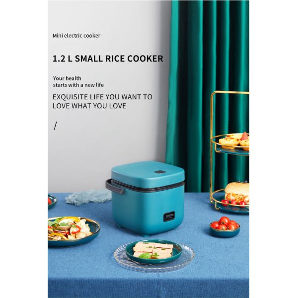 Underpan Heating Silver Crest 5L Electric Cooker Professional and Convenient