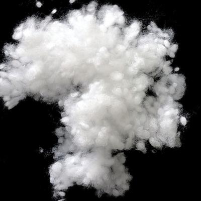 Torne ôca brandamente a fibra de grampo de poliéster conjugada para o enchimento do brinquedo/roupa do luxuoso
