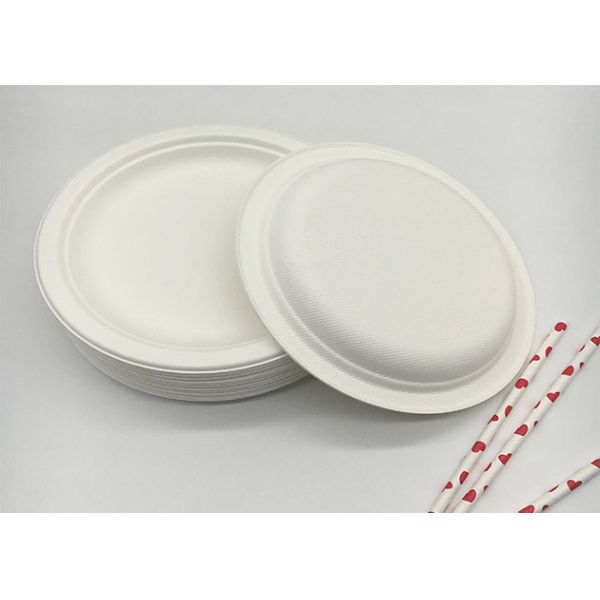 Eco Friendly Disposable Sugarcane Bagasse 7 inch Food Dinnerware Round Cake Plate