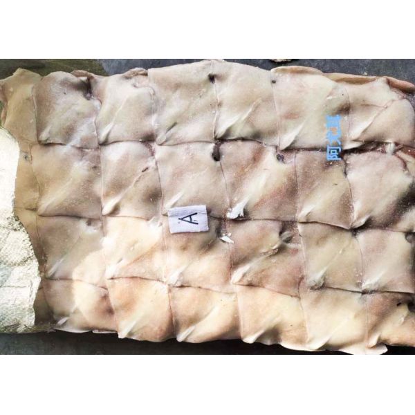 Frozen Illex Squid , Fins Argentina Squid Bqf Chinese Ocean Vessels