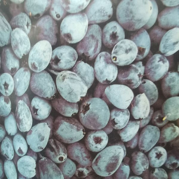 High Resolution Kraft Paper Packaging Bags Compostable Resealable Paper Pouches