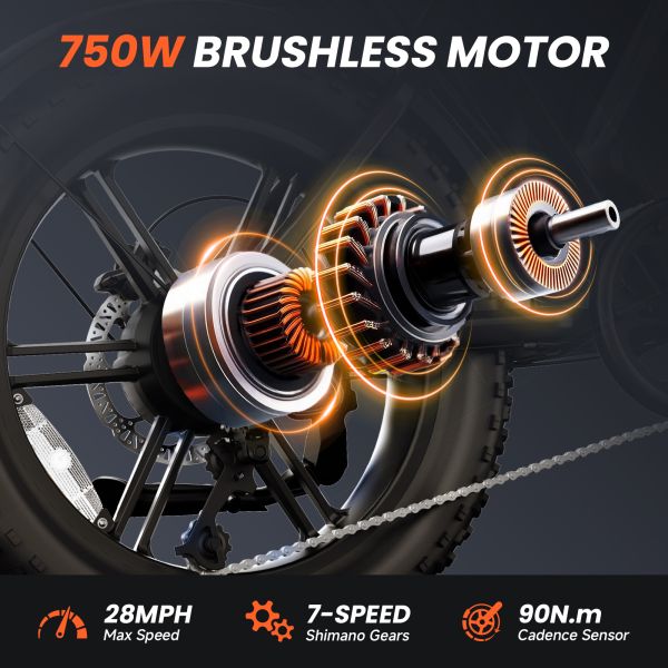 All Terrain Ebike Offroad Bike Electric Bike Beach Cruise E-bike 750w Fat Tire Mountain E-bike V8 Ebike