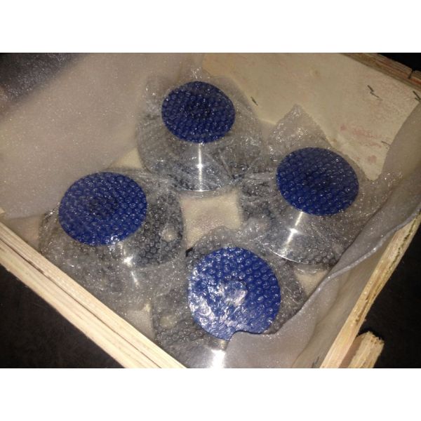 WN Carbon Steel Flange RF 900# 26