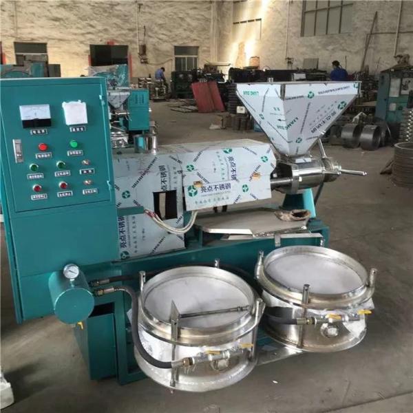 MIKIM Cold Pressed Peanut Groundnut Oil Extraction Machine 280kg/ H 1.8m