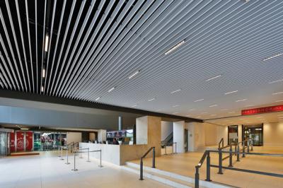 Suspended Metal Aluminum Screen Ceilings Open V100   for Shopping Hall