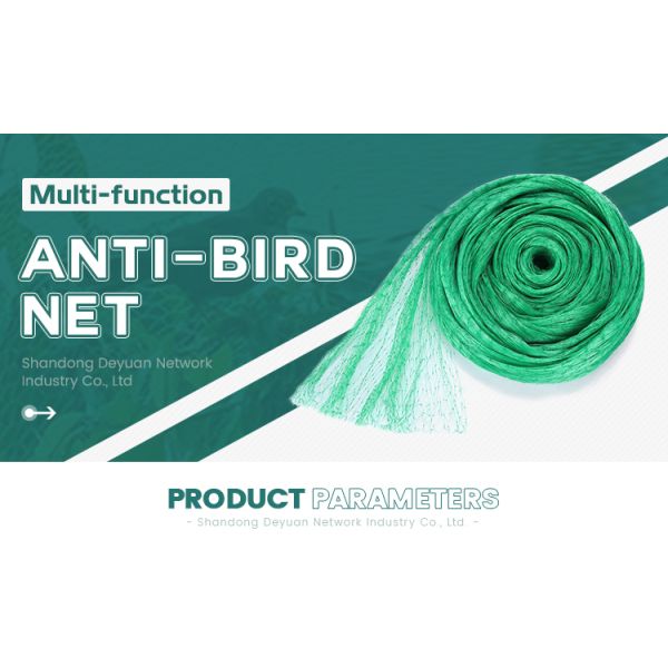 factory price pe farm plastic nets garden orchard anti bird net