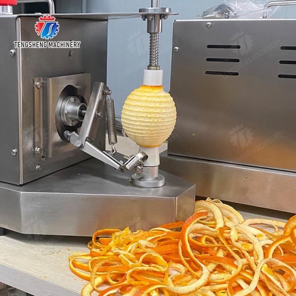2025年最終製品X向け高度な果物と野菜の包装機