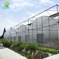 cultivo claro do vegetal da estufa do filme plástico do período de 6m 8m 9m