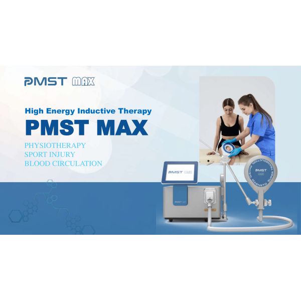 ПЕМФ магнитное лечение здоровья импульсирующая электромагнитная стимуляция терапия ПЕМФ устройство для лошадей