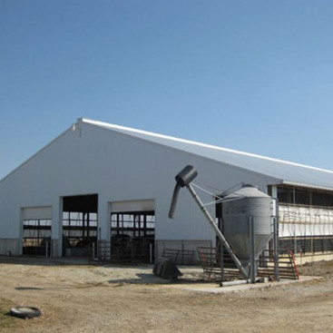 Prefab Metal Horse Barn Fire Resistant Long Lasting Steel Livestock Shed With Gable Roof