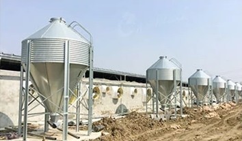 Оборудование птицы бройлера автоматического фидера лотка стальное