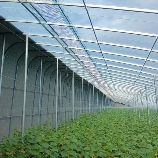 Arco de telhado Estufas de luz solar para sementeira de vegetais US 20/m2