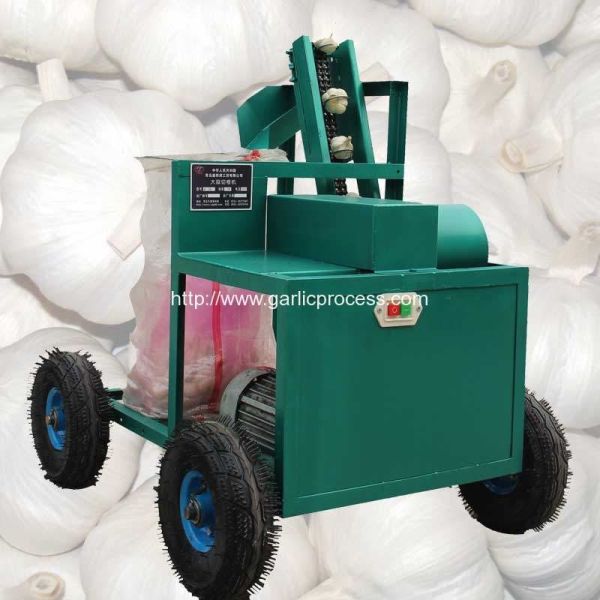Automatic Discharging Fresh Garlic Root and Leaf Cutting Machine