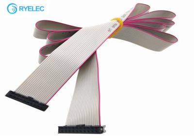 FC -20 Pin 2.0mm Pitch 2*10P Flat Ribbon Cable Assembly With Double Row IDC Female