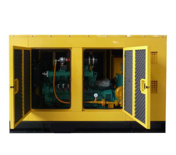Hospital Used LPG Generator Sets Long Service Life  Silent Genset