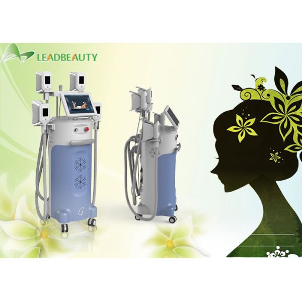 4  big handles Great weight loss-15 ~5Celsuis degree machine cryolipolysis