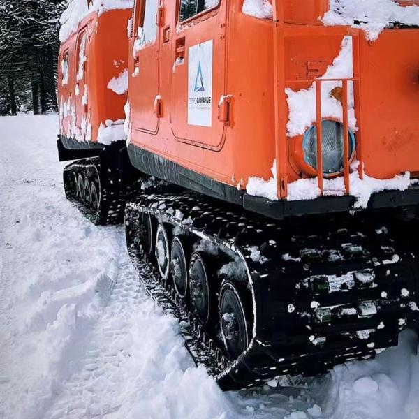 a largura de 620mm seguiu trilhas das peças do carro de neve das trilhas da máquina da neve 12 meses de garantia