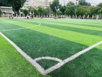 El sintético de la hierba del fútbol se chiba la hierba artificial del césped de la hierba artificial del fútbol de 50m m
