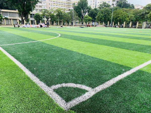 Football Grass Synthetic Grass 50mm Artificial Football Grass Artificial Turf Grass