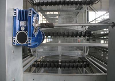 Eco - Friendly Layer Poultry Farming Equipment Low Noise Customized Size