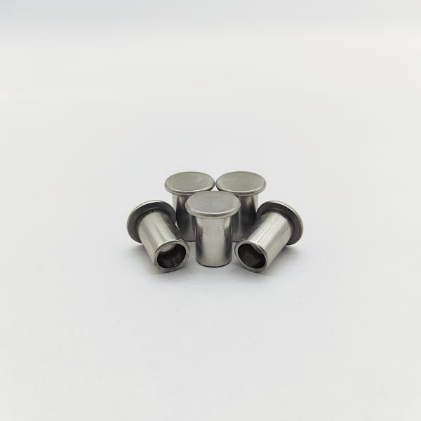 316L Stainless Steel Flat Head Semi-Tubular Rivets ISO 15977