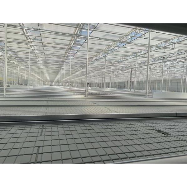 Вертикаль отлива и подачи растет Суды парника фильма таблицы потока свертывая