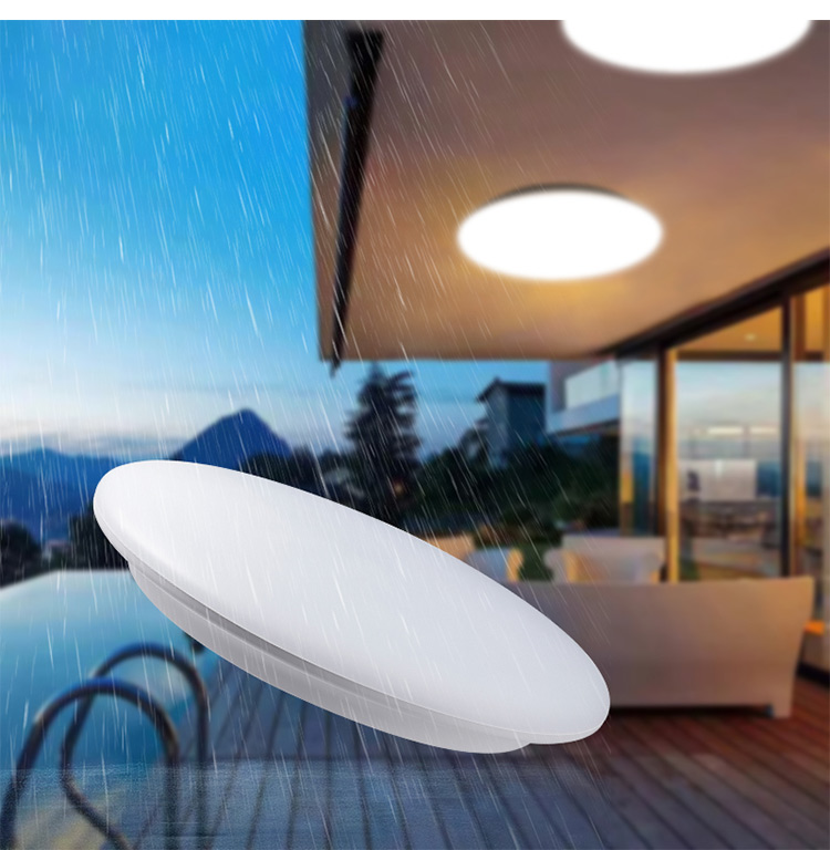 IP65 Waterproof Dimmable LED Ceiling Light with Emergency Function for Outdoor and Indoor Use