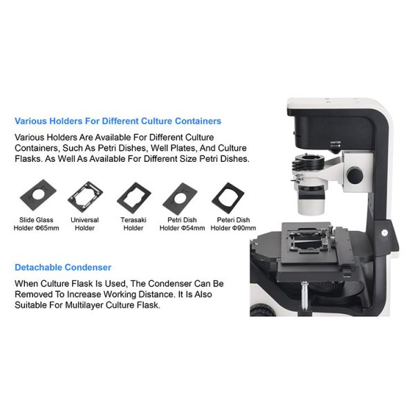 OPTO EDU A14.1065 Tilting Inverted Phase Contrast Microscope