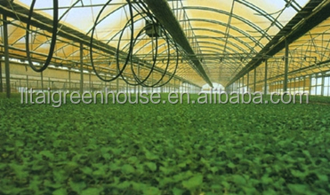 Настраиваемый размер покрытый пленкой птицефабрика теплица длина 30-100 м с пленкой