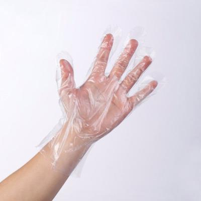 Kitchen Disposable Plastic Gloves For Home Restaurant Cooking Industrial Cleaning