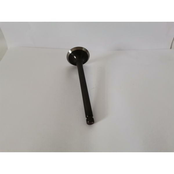 PAJERO 2.8 4M40T Diesel Engine Valve ME202688 Durable Automobile Parts