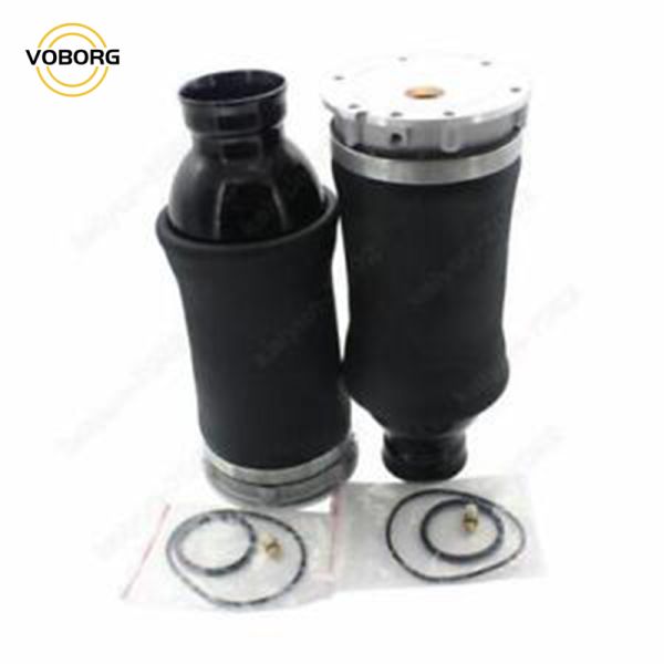 Hot Sell Rear Air Suspension Shock Absorber Reart Left and Right Shock Absorbers for Audi Auto Parts