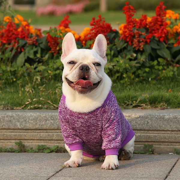 Knitted Puppy Clothes Solid Pattern Polyester Material for Your Four-Legged Companion