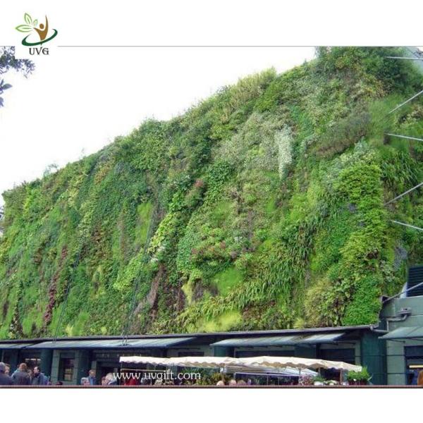 UVG Indoor Walls decoration Artificial Plant Wall building landscaping GRW05
