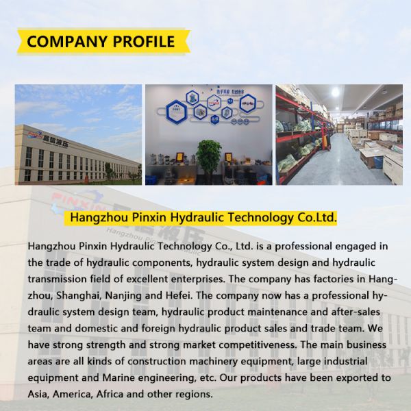 Hydraulic Valve A4vg40ep A10vg45ep for Repairing Hydraulic Pump Parts on Crawler Crane