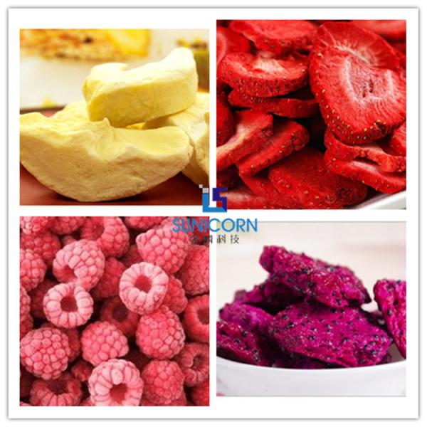 Electric Heating Home Freeze Drying Equipment For Fruit Vegtable 0.4m2