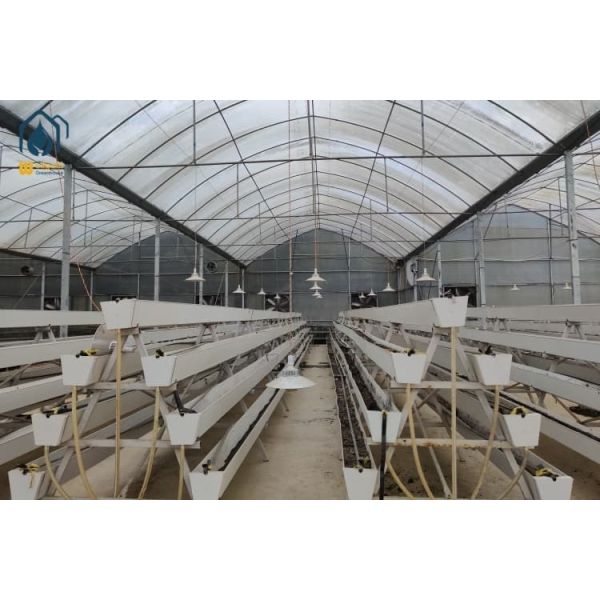 NFT Strawberry Growing Troughs White Vertical Hydroponic Growing System