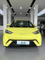 Distributors Byd's Fluorescent Green Seagull Electric Vehicle 405km of Adventure for 5 Passengers