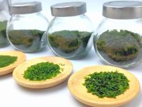 Aonori fait d' algues de qualité supérieure en vert émeraude